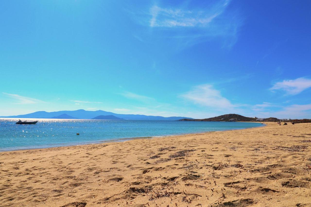 Beach Apartment Thalia With Hot Tub And Sea View Agios Prokopios  Bagian luar foto